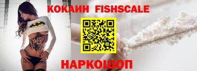 шишки Новодвинск