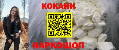 шишки Новодвинск