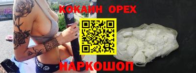 шишки Новодвинск