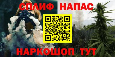 шишки Новокубанск