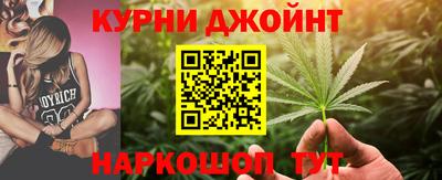шишки Новодвинск
