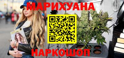 шишки Новодвинск