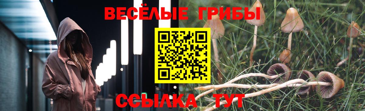 Псилоцибиновые грибы Magic Shrooms Шахты